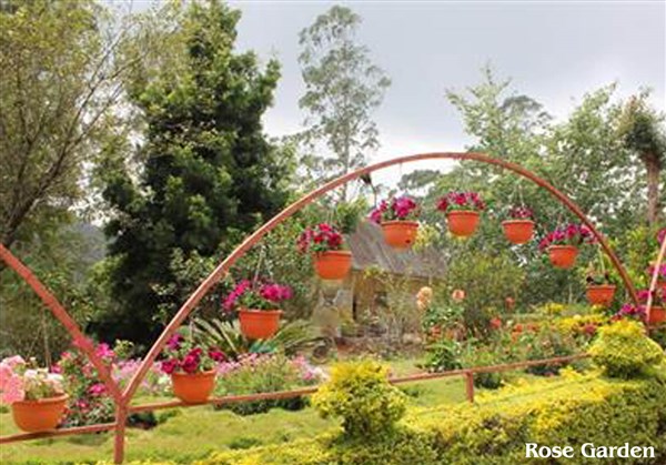 Rose Garden, Munnar - Karthi Travels | Katpadi - Munnar & Athirapally Tour