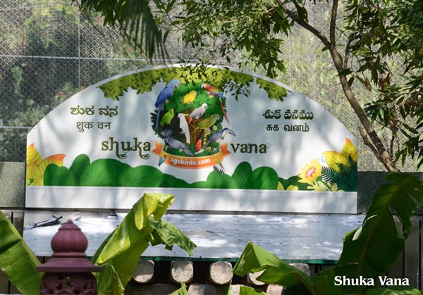 Shuka Vana, Mysore - Karthi Travels® | Vellore - Mysore Tour