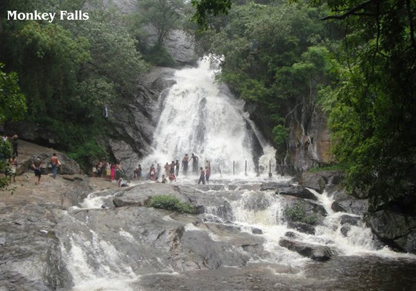 Monkey Falls, Valparai - Karthi Travels | Vaniyambadi - Topslip, Valparai & Athirapally Tour