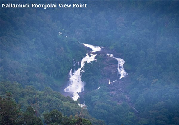 Nallamudi Poonjolai, Valparai - Karthi Travels | Polur - Kodaikanal & Valparai Tour