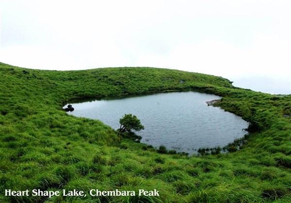 Chembra Peak & Heart Lake, Wayanad - Karthi Travels | CMC - Wayanad Tour