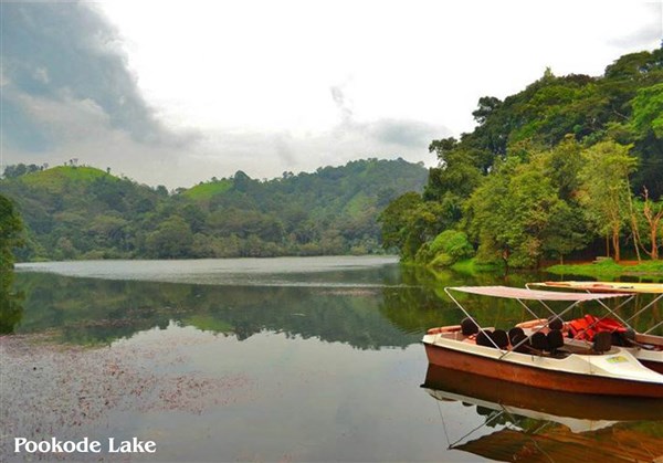 Pookode Lake, Wayanad - Karthi Travels | CMC - Wayanad Tour