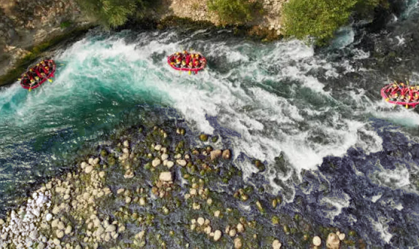 'Theni to Ooty, Coonoor, Masinagudi, Coorg'