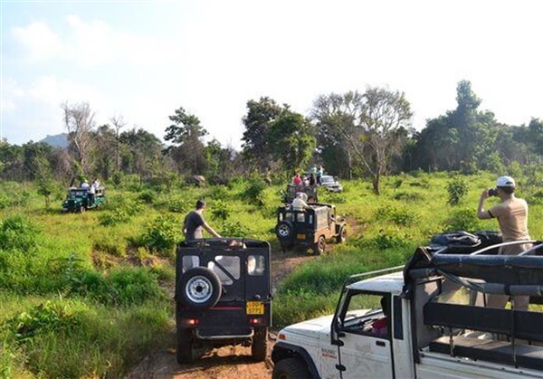 'Coimbatore to Ooty, Coonoor, Masinagudi'