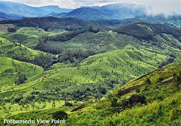 'Madurai to Valparai, Athirapally, Munnar'