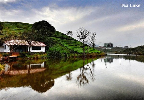 'Dindigul to Vagamon'