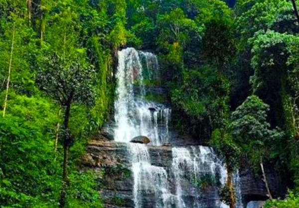 Ranipet to Ooty, mysore, Coorg, Chikmagalur 8 Day Tour by Karthi Travels