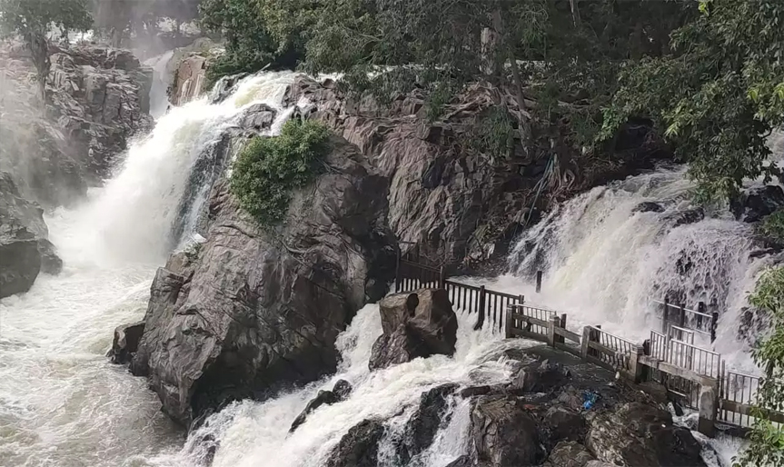 Vellore to Hogenakkal 1 Day Tour by Karthi Travels