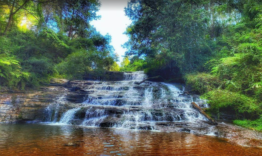 Dindigul to Kodaikanal 1 Day Tour by Karthi Travels