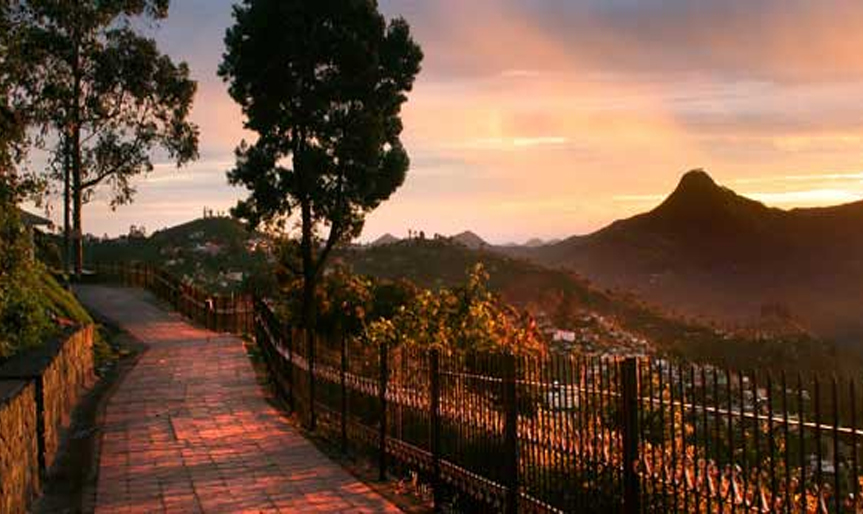 Coimbatore to Ooty, Kodaikanal 5 day tour package by Karthi Travels, rated 4.7 stars