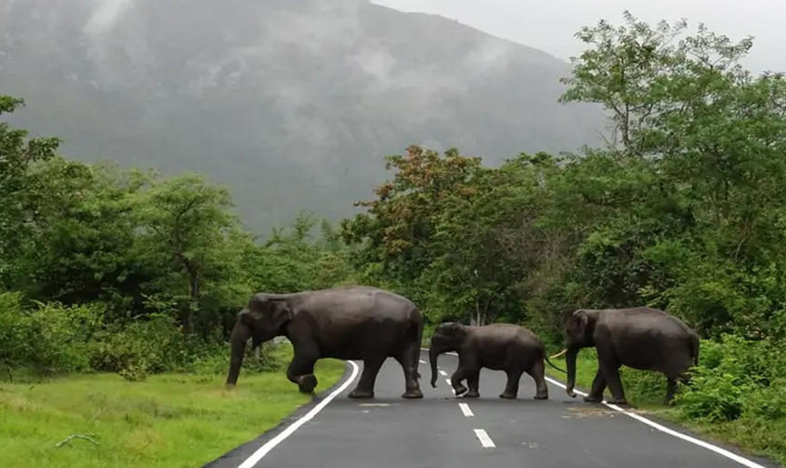  3 day tour package by Karthi Travels, rated 4.8 stars