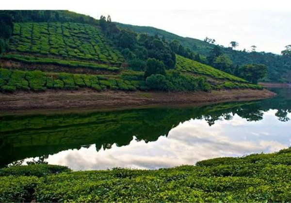 Madurai to Megamalai 1 Day Tour by Karthi Travels