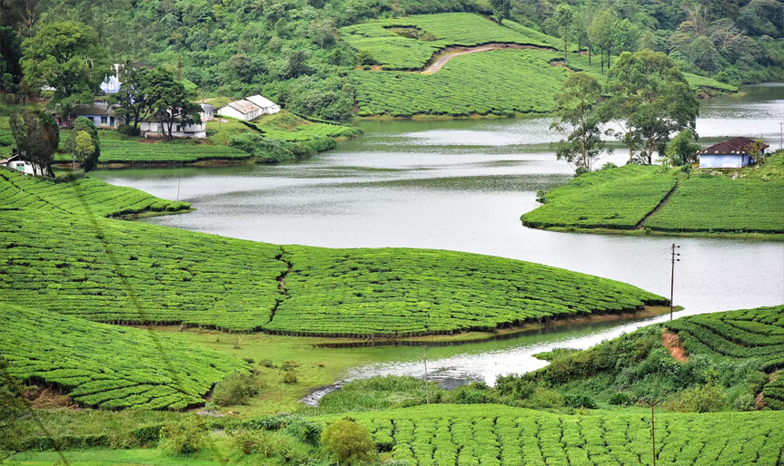 Theni to Vagamon, Megamalai 4 Day Tour by Karthi Travels