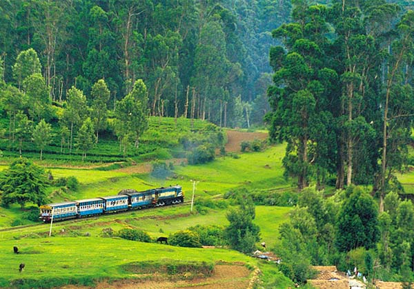 Coimbatore to Ooty 2 day tour package by Karthi Travels, rated 4.9 stars
