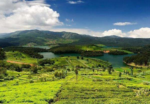 Thanjavur to Ooty 3 Day Tour by Karthi Travels