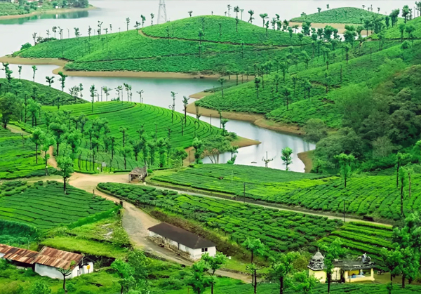 Coimbatore to Valparai 1 Day Tour by Karthi Travels