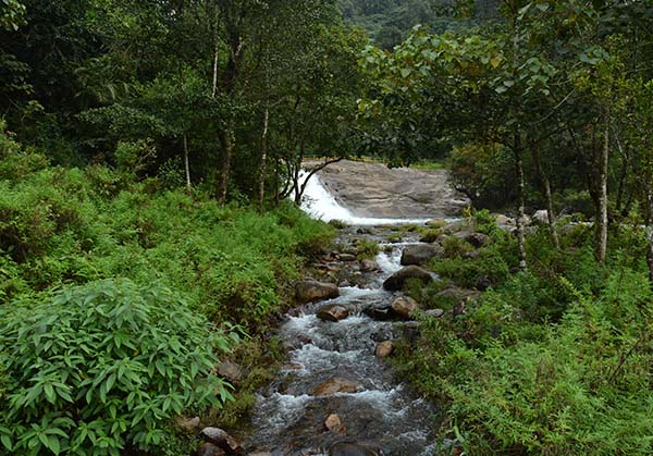 Salem to Valparai 3 Day Tour by Karthi Travels